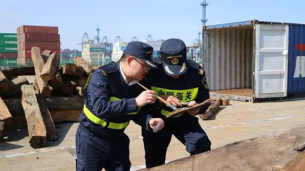 【海关知识】“海关查验”都查什么|上海进口报